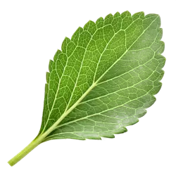 Imagen PNG para descargar